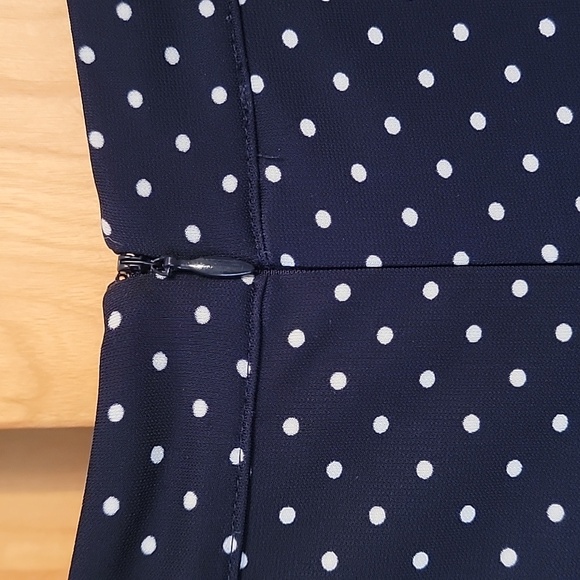 Talbots Blue White Polka Dot Dress - Picture 9 of 12
